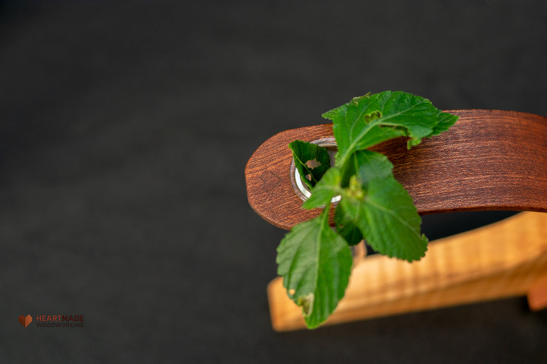 Propagation Station - Vase - Mahogany with Curly Maple