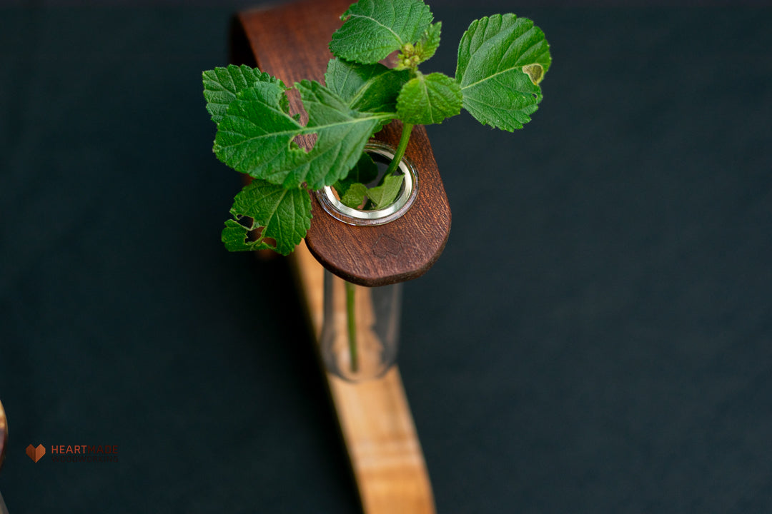 Propagation Station - Vase - Mahogany with Curly Maple