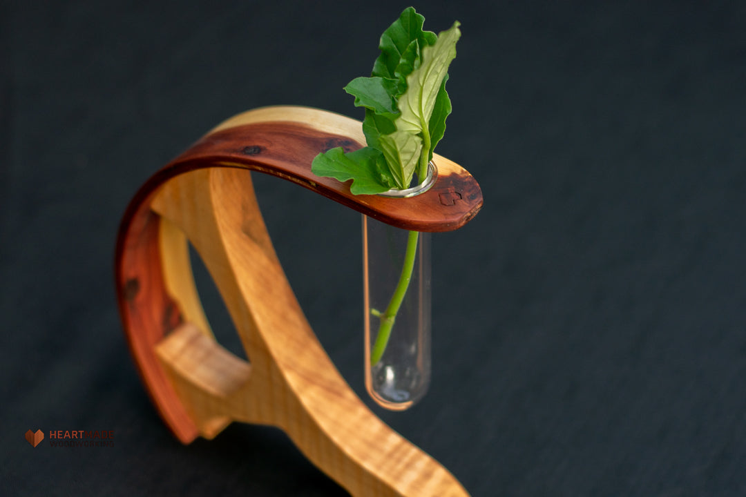 Propagation Station - Vase - Aromatic Cedar with Curly Maple