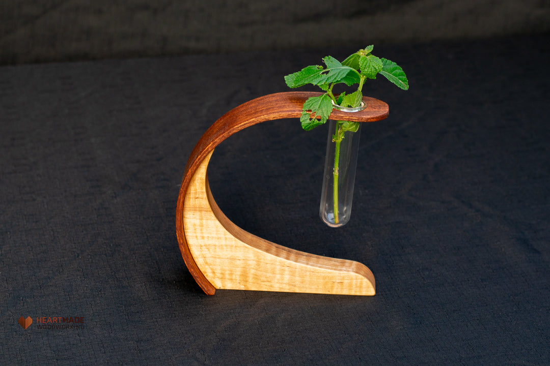 Propagation Station - Vase - Mahogany with Curly Maple