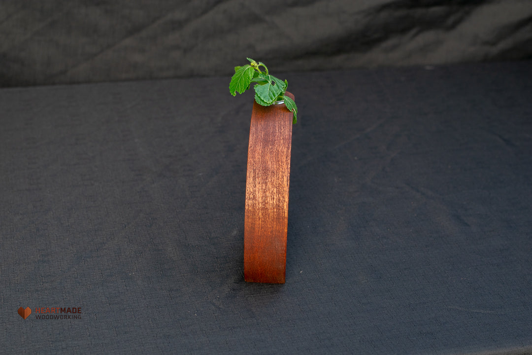 Propagation Station - Vase - Mahogany with Curly Maple