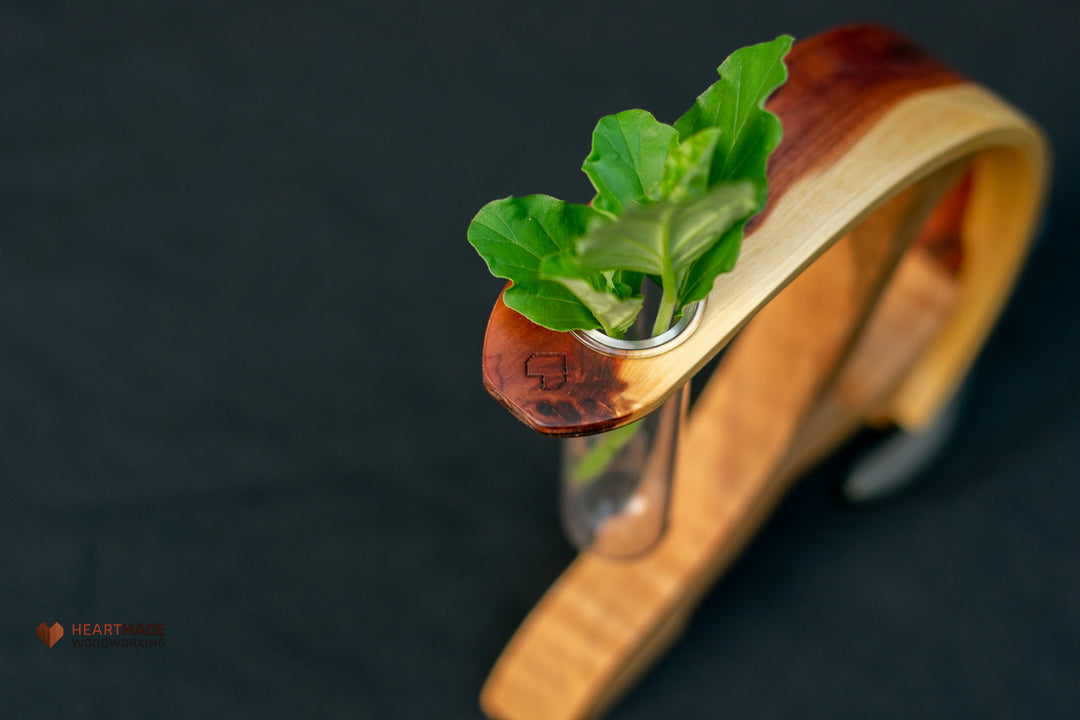 Propagation Station - Vase - Aromatic Cedar with Curly Maple