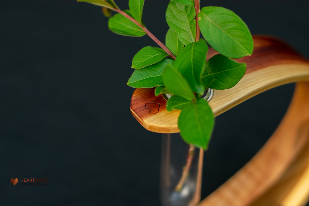 Propagation Station - Vase - Aromatic Cedar with Curly Maple